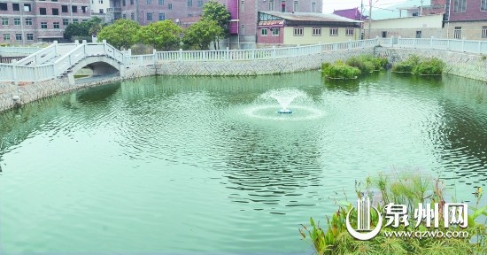 馬甲鎮新民村的氧化塘。